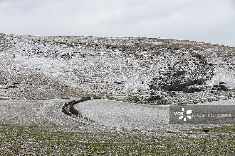 威明顿长人与散落的雪图片素材