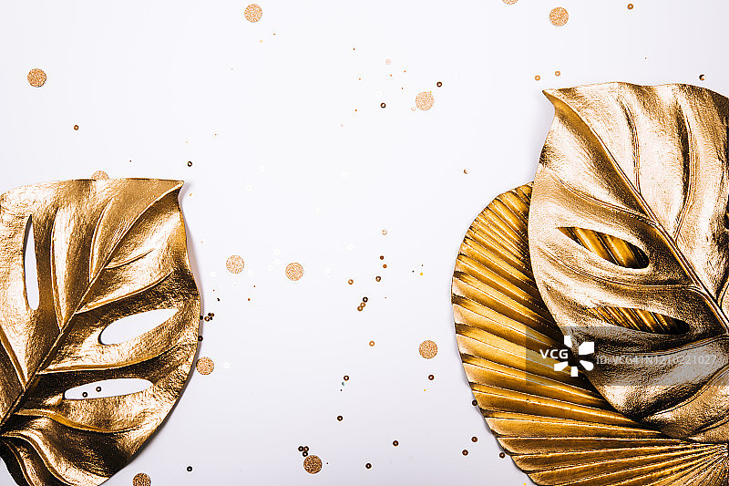 金色龟背竹叶图片素材