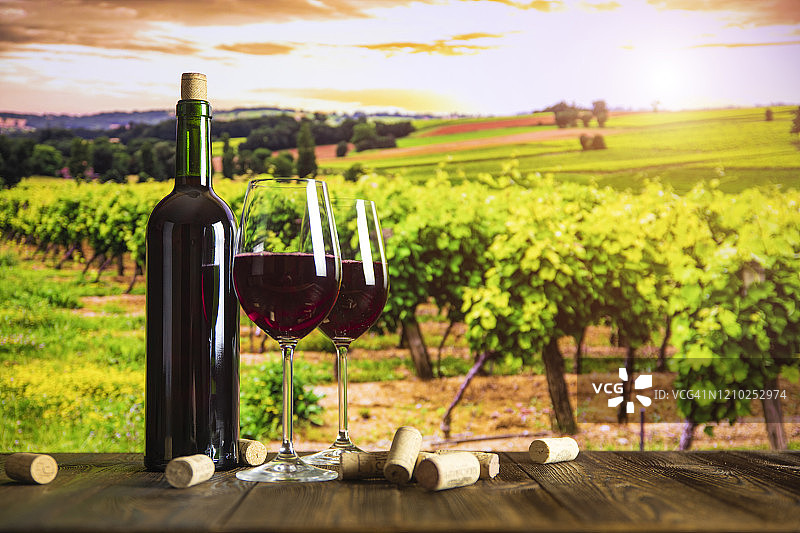 日落时分葡萄园背景下的葡萄酒瓶、酒杯、奶酪和葡萄图片素材