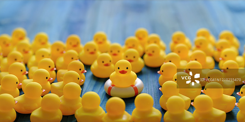 救生圈上的黄色小鸭和周围的其他小鸭图片素材