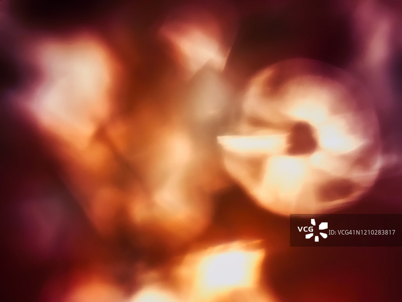 绚丽的色彩与燃烧的花朵图片素材