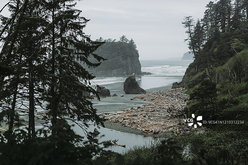 华盛顿红宝石海滩上带有浮木的壮观海蚀柱图片素材