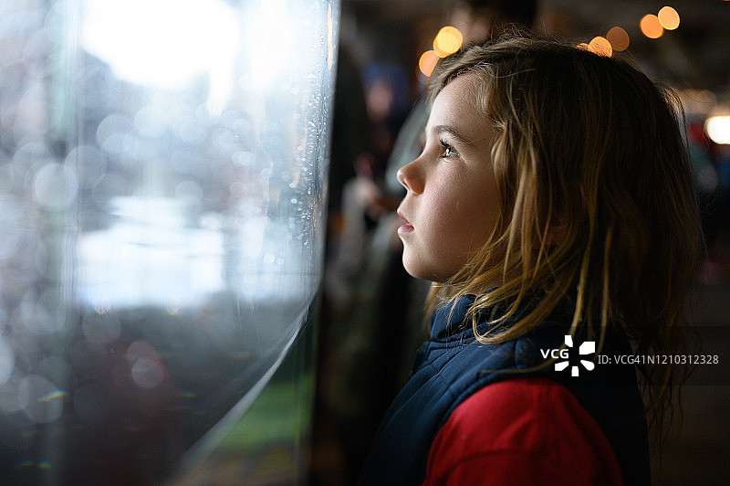 穿红色衬衫和蓝色背心的男孩看着水族馆展览图片素材