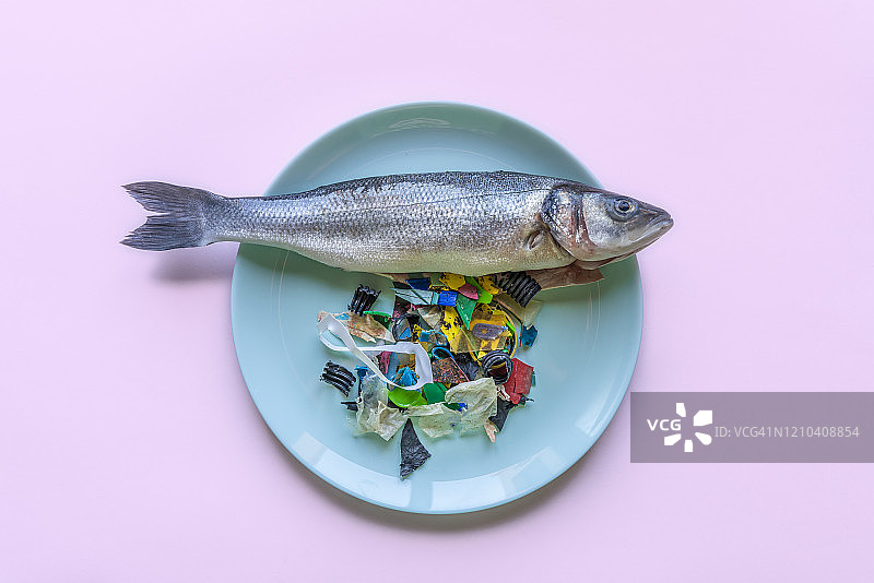 鲈鱼和塑料菜单图片素材