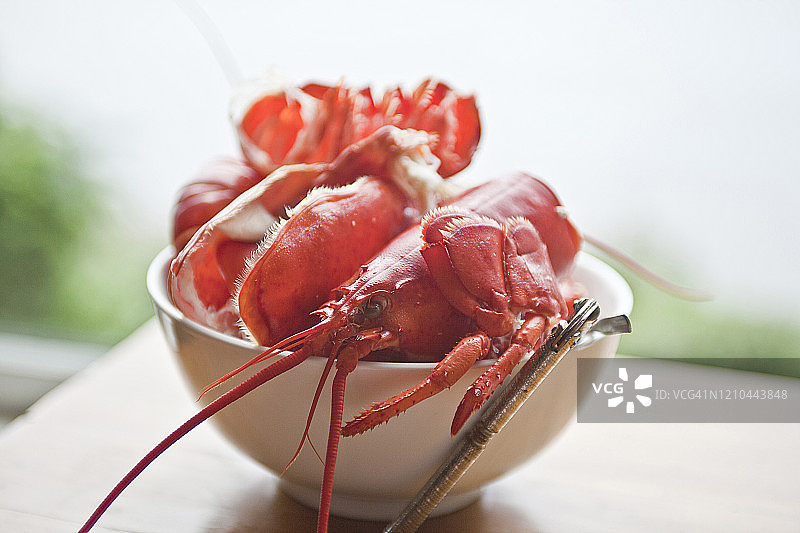 空碗里的空龙虾壳，在海边的甲板上，配有龙虾钳图片素材