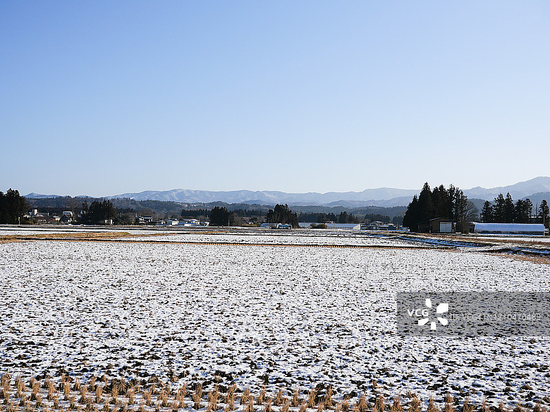 冬天的景色图片素材