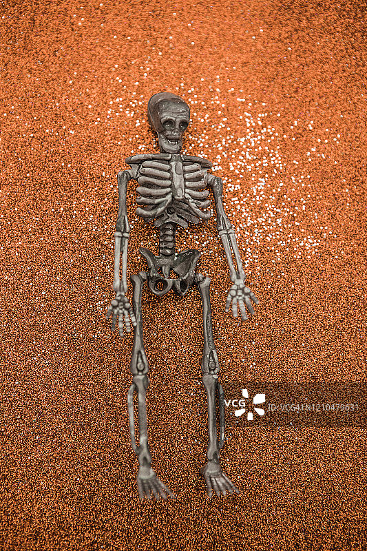 人类骨骼微缩模型/万圣节图片素材
