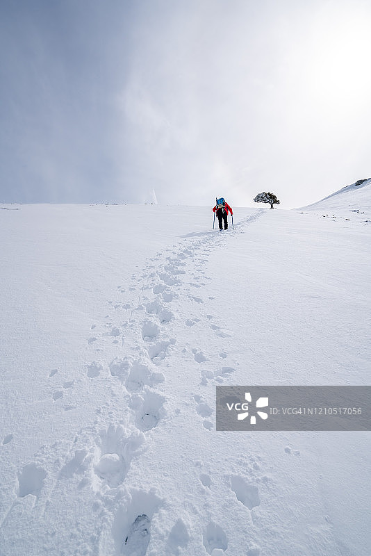 冬季阿尔卑斯登山者登顶图片素材
