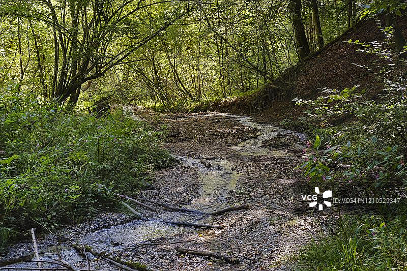 因莱特自然保护区的小溪，位于德国巴伐利亚州上巴伐利亚因河畔马尔克特附近图片素材