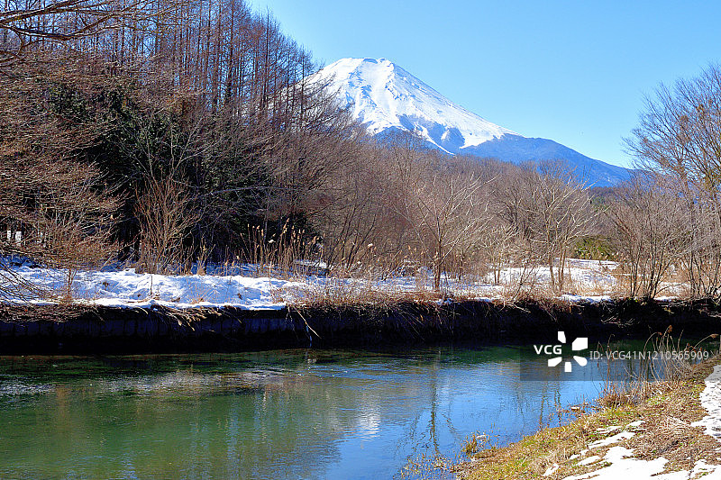 冬季的富士山：从山梨县忍野村眺望图片素材