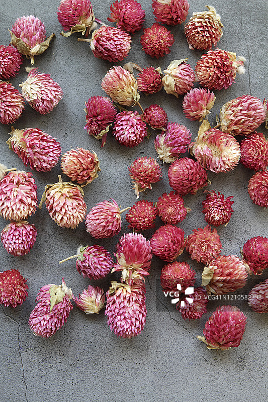 黑色背景上的干花图片素材