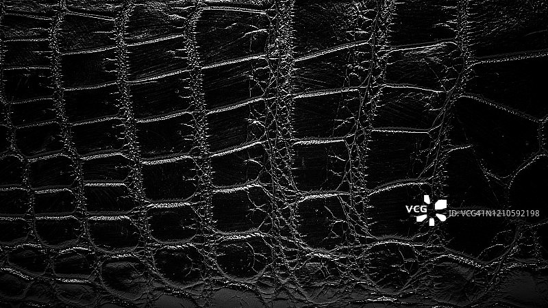 黑色皮革纹理，鳄鱼皮背景图片素材