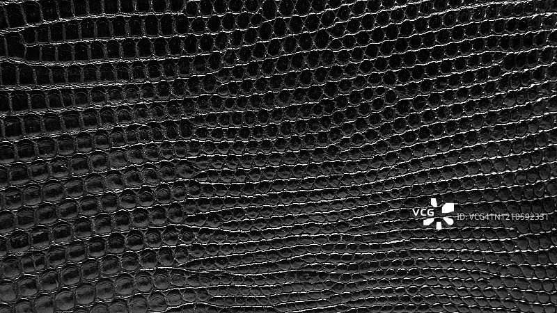 黑色爬行动物皮革纹理背景图片素材