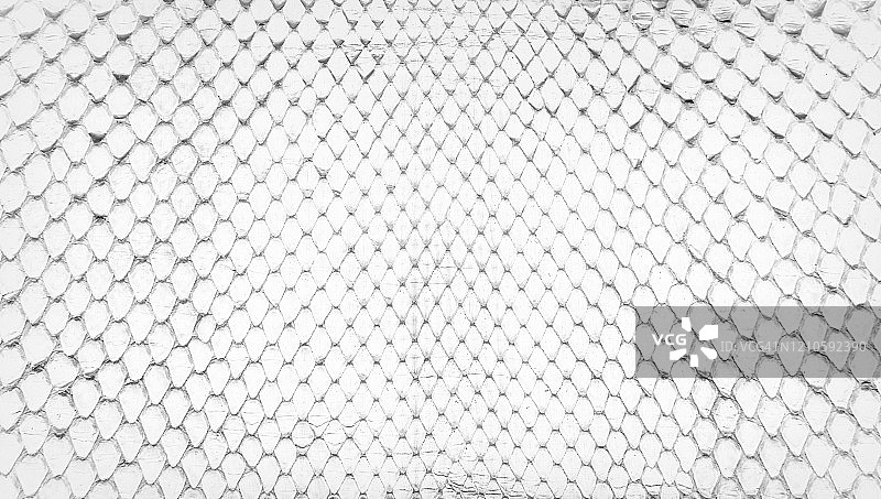 白色蛇皮抽象皮革纹理背景图片素材