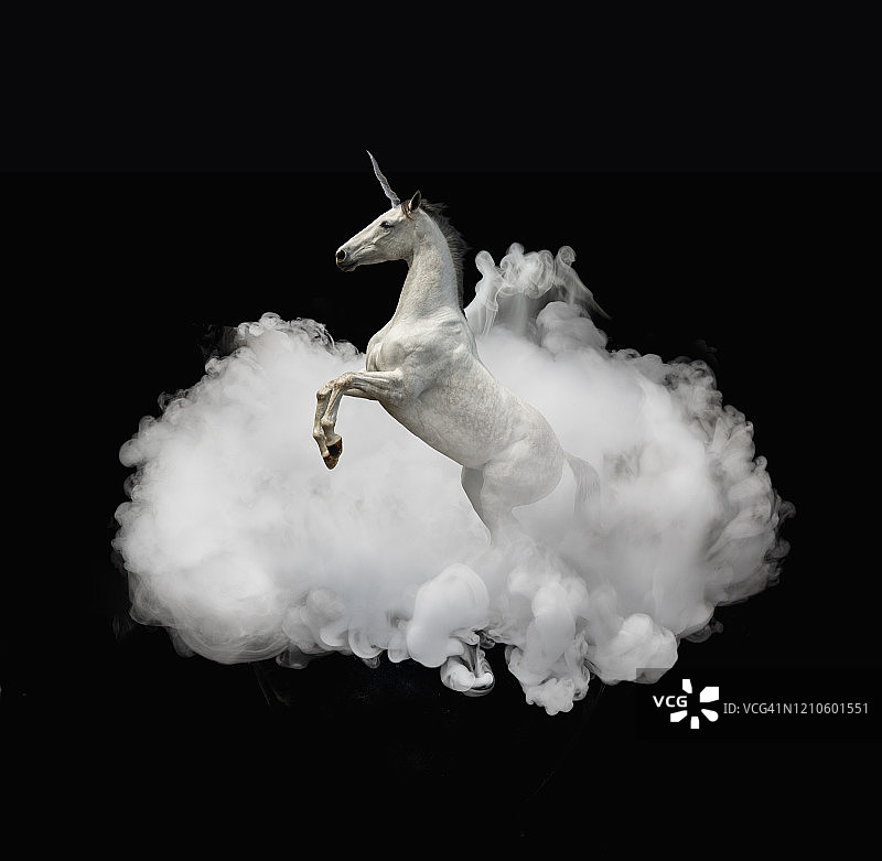 云雾中的独角兽图片素材