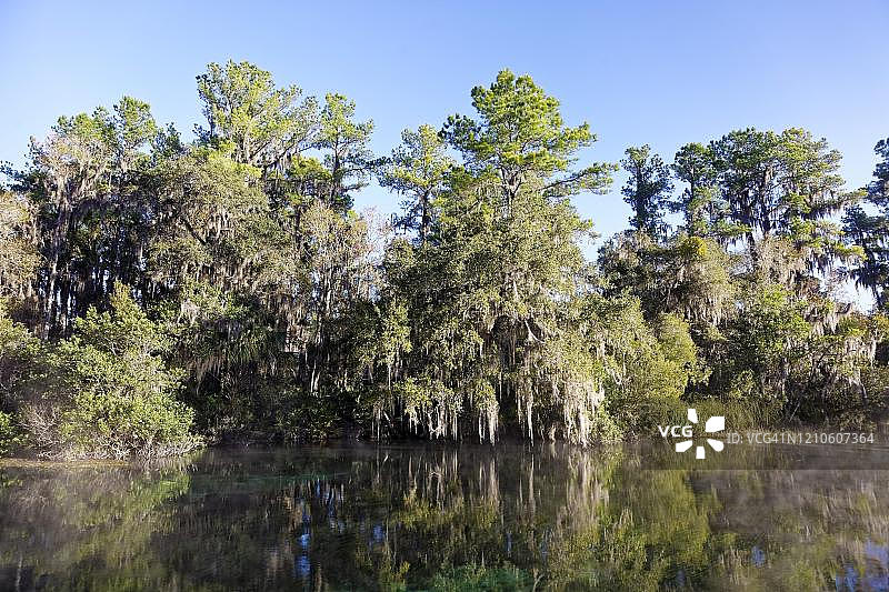 河流景观，彩虹河，彩虹泉州立公园，美国佛罗里达州图片素材
