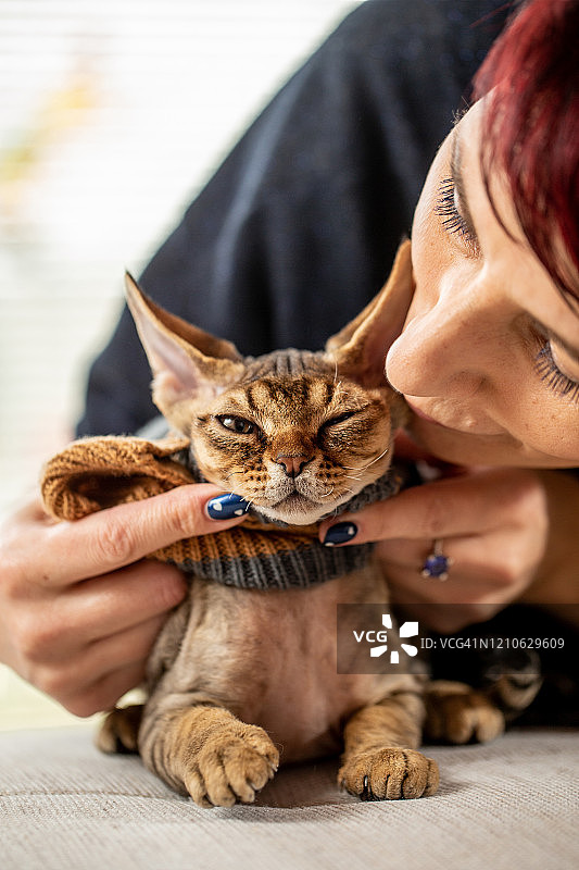 满意的猫咪对着镜头眨眼，被穿着毛衣的女人抱着图片素材