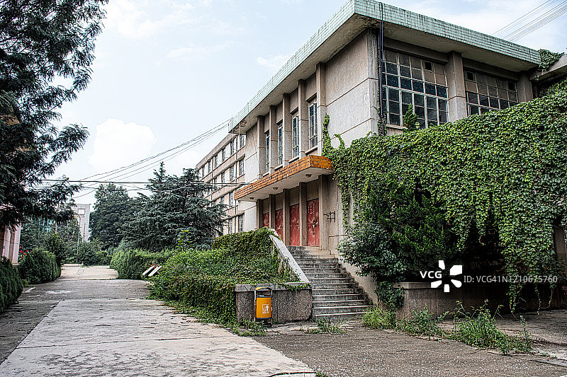 被绿色植物覆盖的废弃建筑图片素材