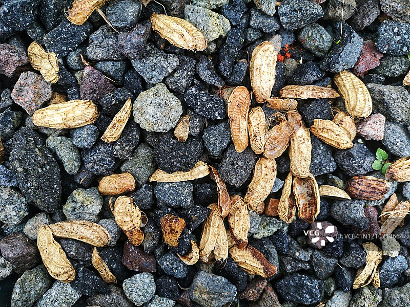 碎石路上的花生壳垃圾图片素材