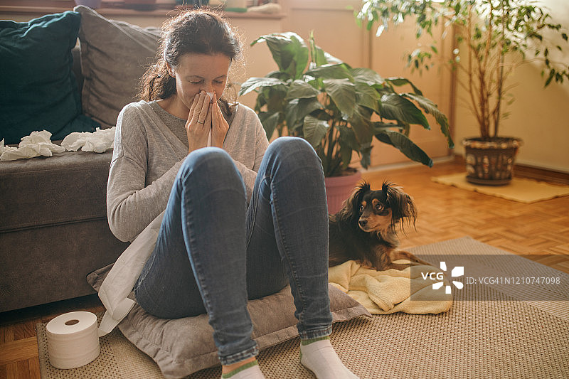 在家中患有过敏和流感的女人图片素材