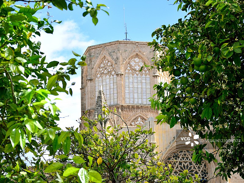 瓦伦西亚大教堂图片素材