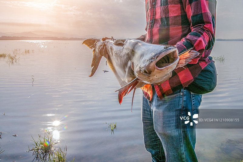 钓鱼：渔夫与巨型梭鱼图片素材