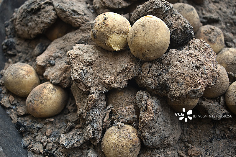 用牛粪烹制的面粉球（印度）图片素材
