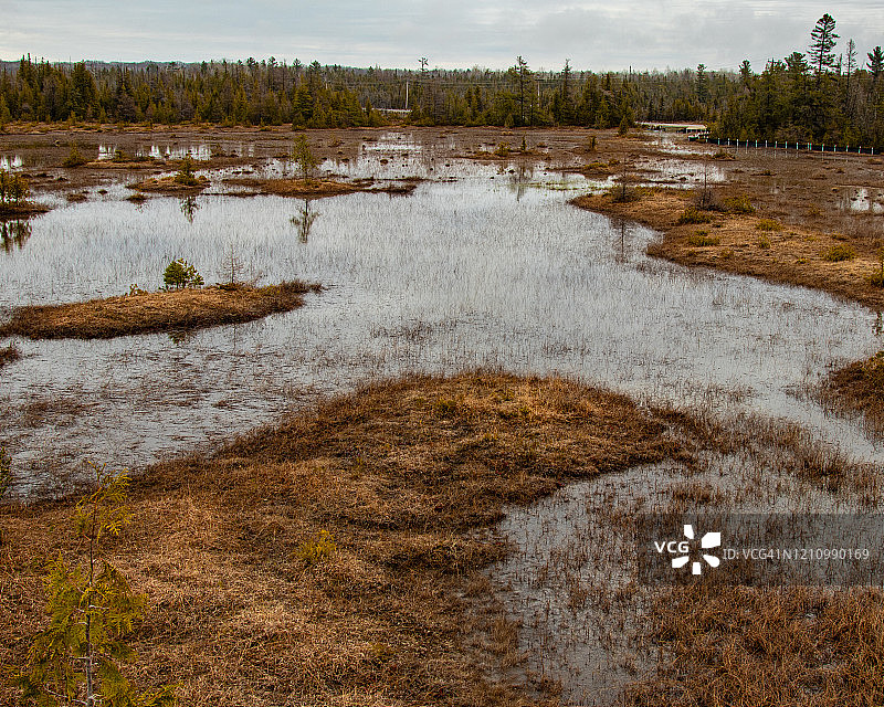 布鲁斯半岛上的沼泽图片素材