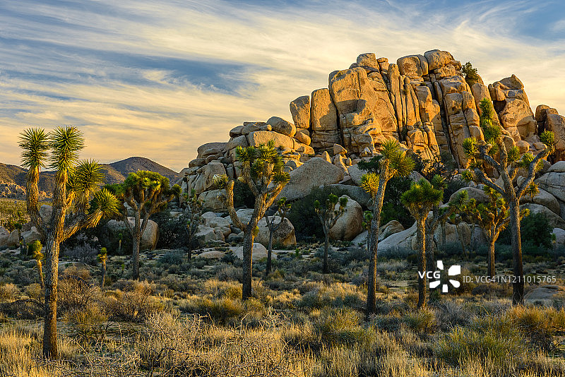 隐秘山谷的傍晚图片素材
