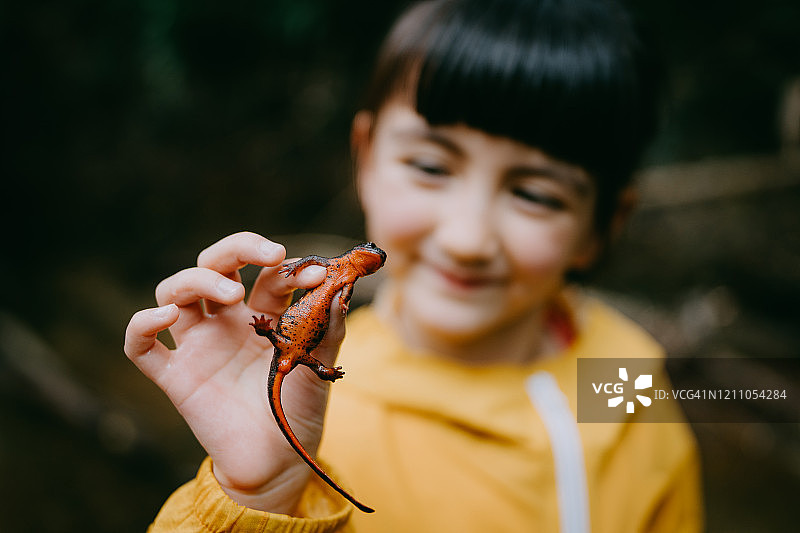 年轻女孩手捧蝾螈微笑，冲绳县山原森林图片素材