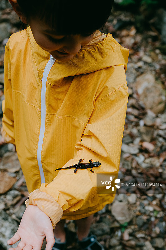 日本冲绳县山原森林里的火蜥蜴和小女孩图片素材