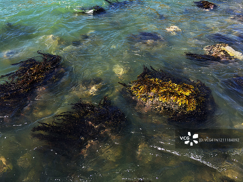 果阿邦帕洛伦海滩图片素材