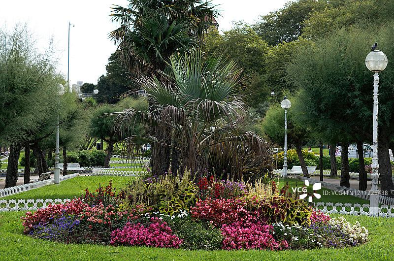 西班牙吉普斯夸多诺斯蒂亚-圣塞巴斯蒂安翁达雷塔花园的盛开花坛图片素材