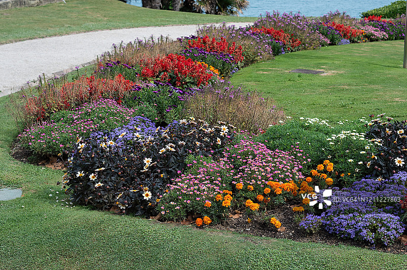 公园里盛开的花坛图片素材