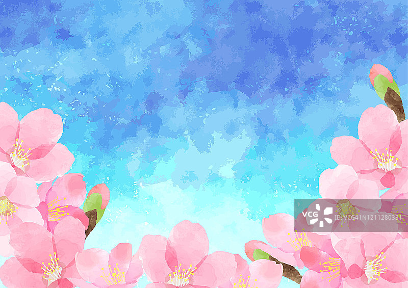 蓝天与樱花美景图片素材