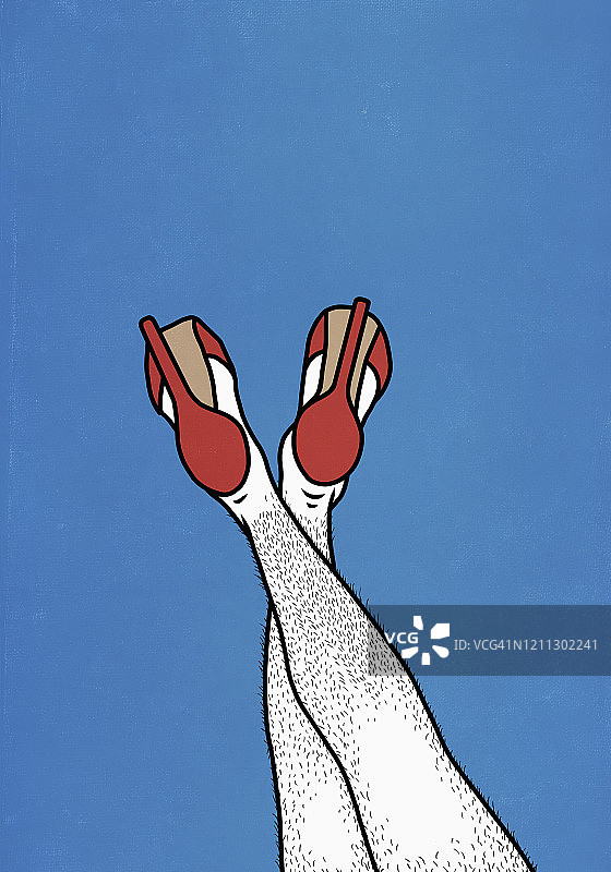 穿红色高跟鞋的毛腿男人图片素材