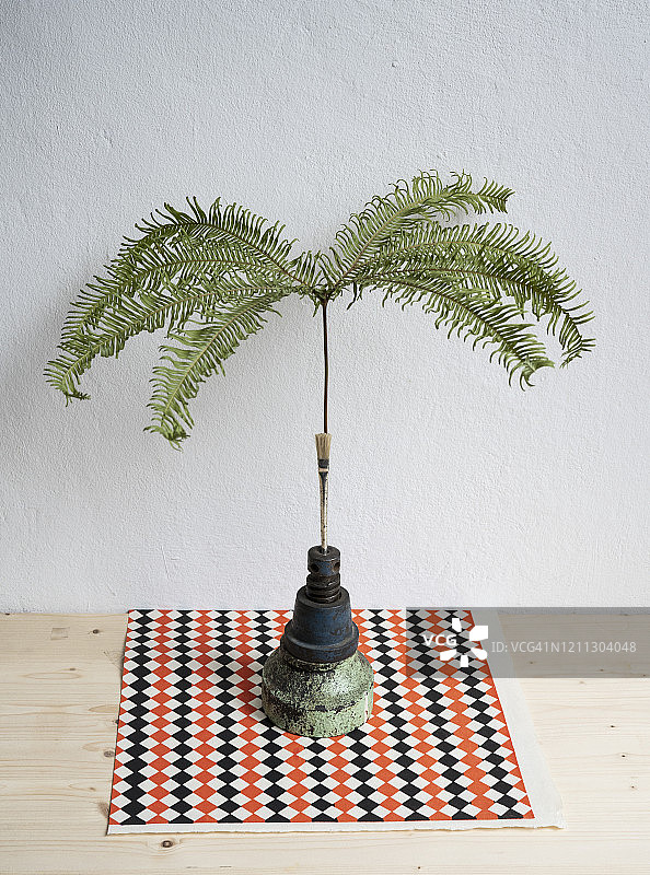 静物：热带植物与独特花瓶图片素材