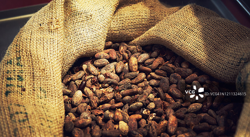 麻布袋中倾泻而出的高品质可可豆的低角度拍摄图片素材