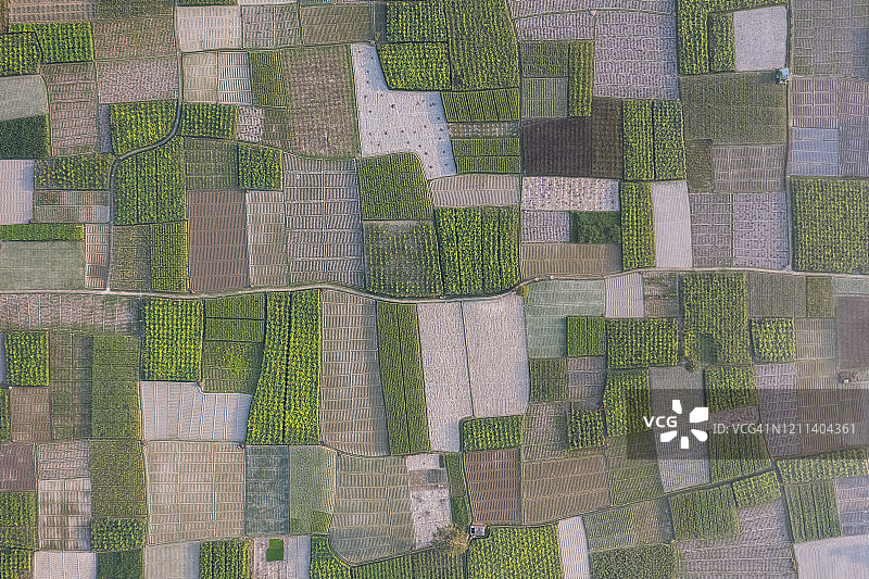 孟加拉国新开垦的蔬菜田鸟瞰图图片素材