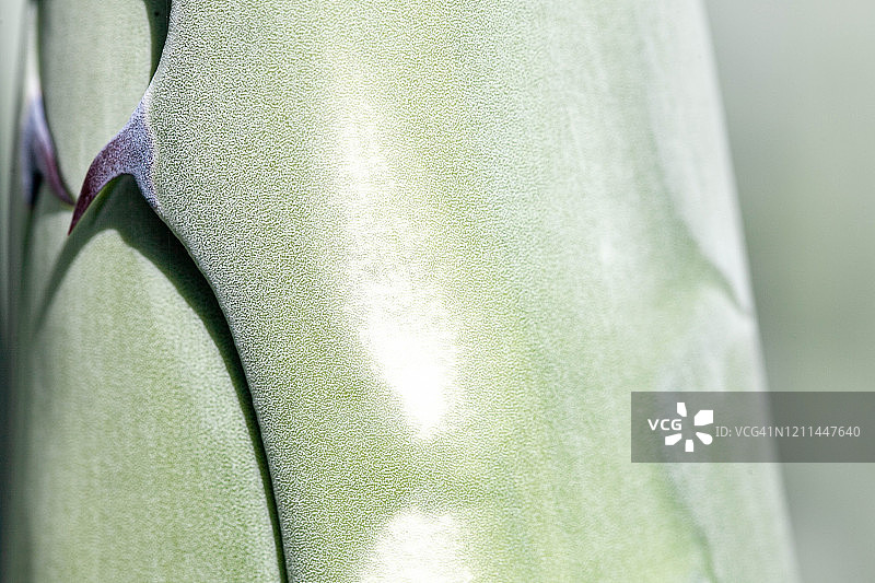 墙纸与纹理图片素材