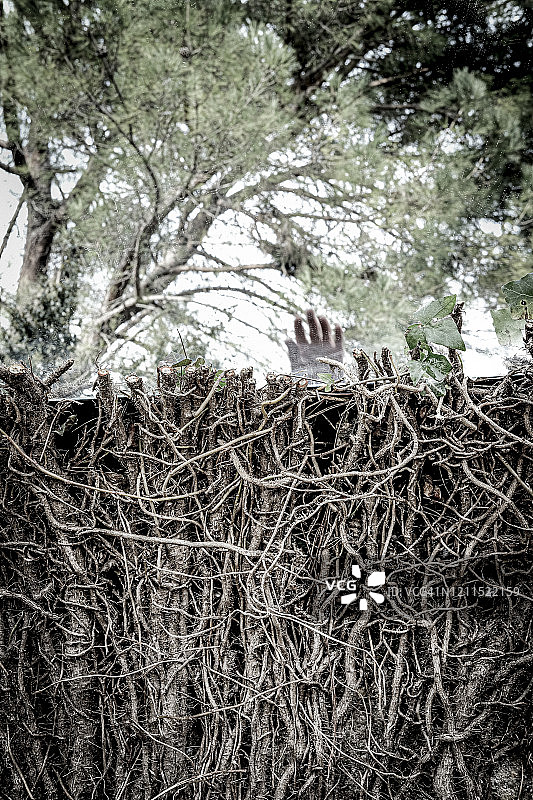 带有镜子和半城市景观的梦幻氛围图片素材