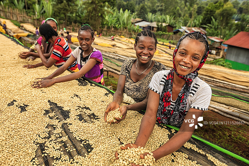 非洲女孩和妇女分拣咖啡豆，东非图片素材
