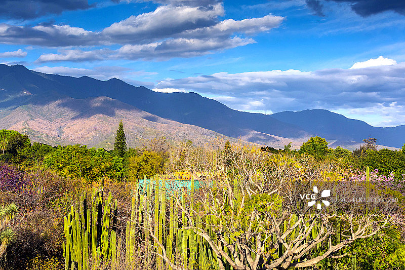 瓦哈卡州风景图片素材