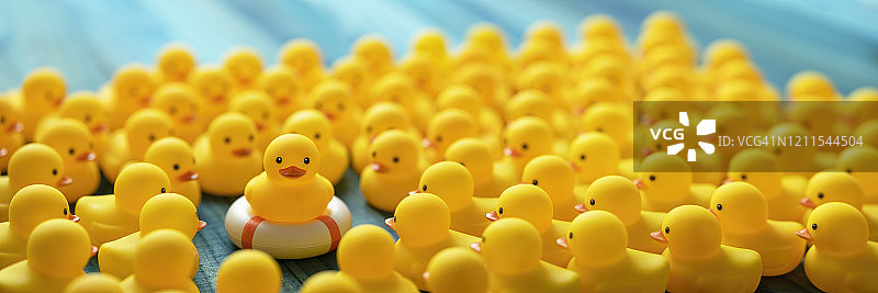 救生圈上的黄色小鸭和周围的其他小鸭图片素材