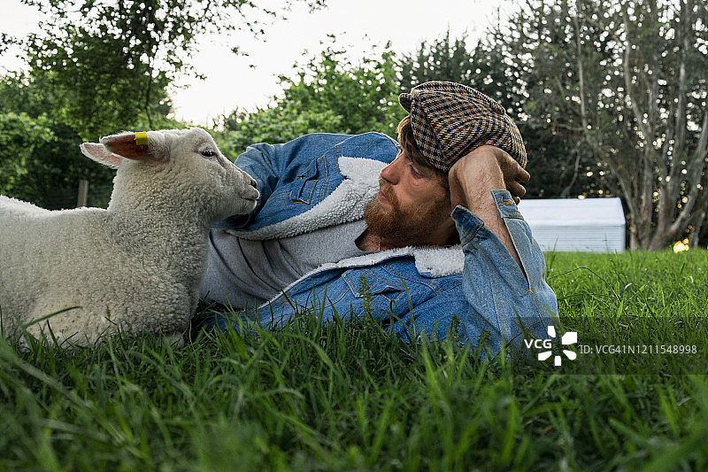 关爱野生动物图片素材