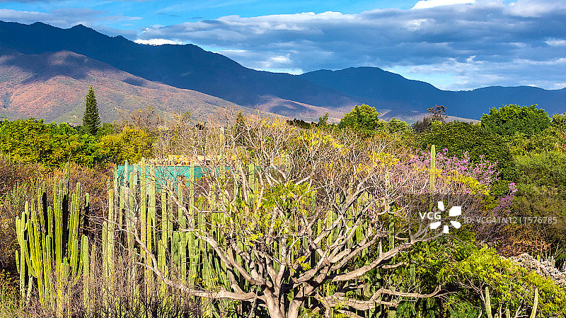 瓦哈卡州风景图片素材