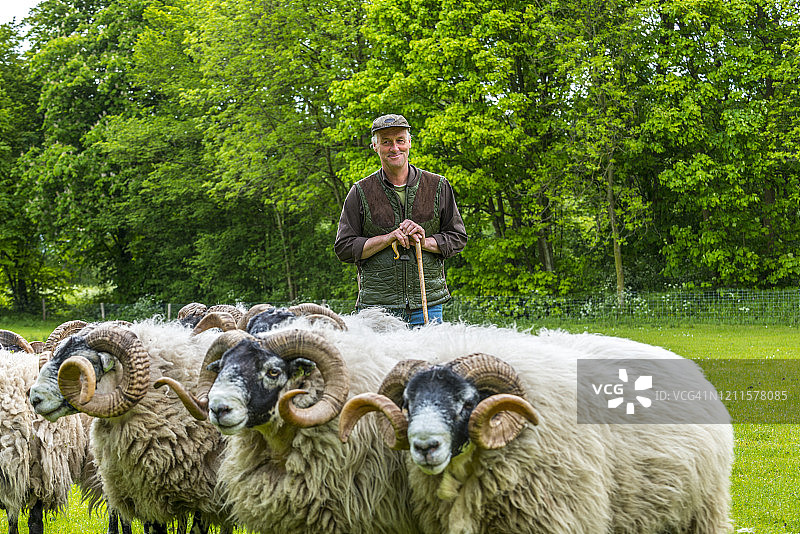 倚靠牧杖的牧羊人图片素材