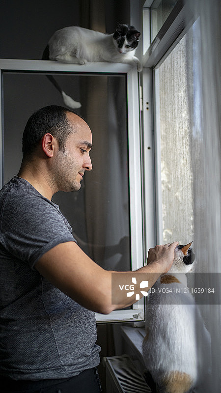 男人和猫的家庭生活图片素材