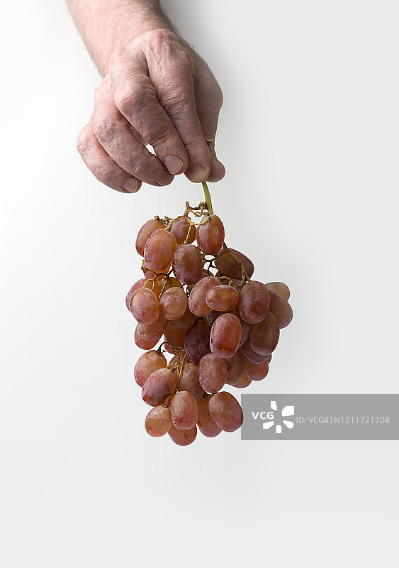 白色背景上手持成熟葡萄的男人图片素材