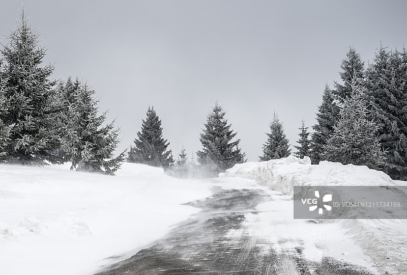 暴风雪中泥泞的森林小路图片素材
